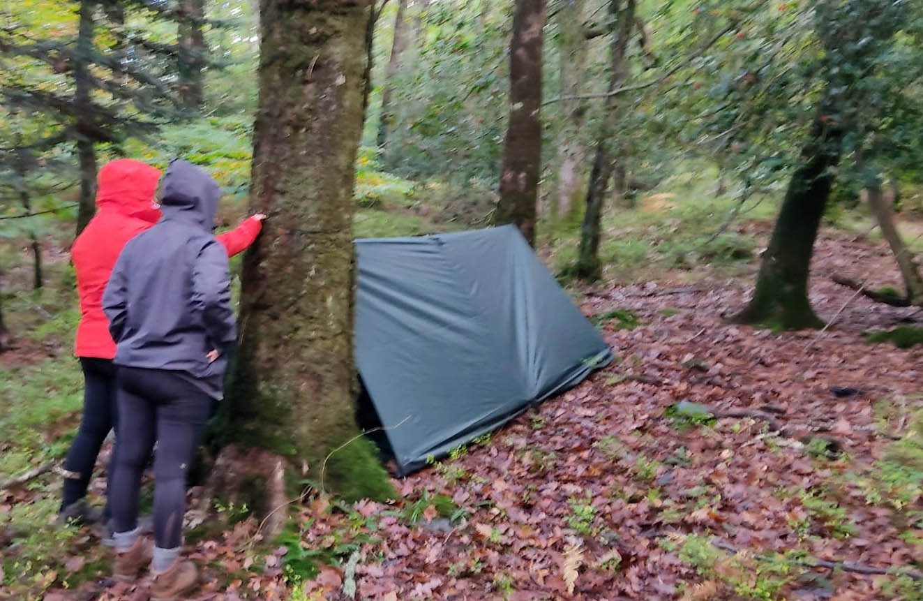 shelter building in forest wicklow
